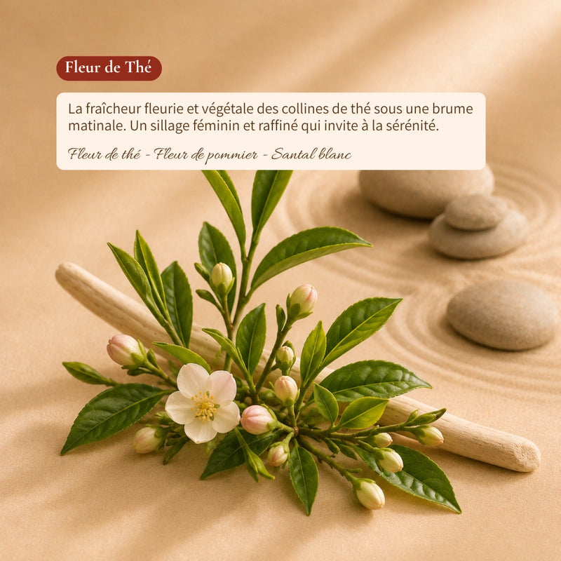 Fleur de Thé