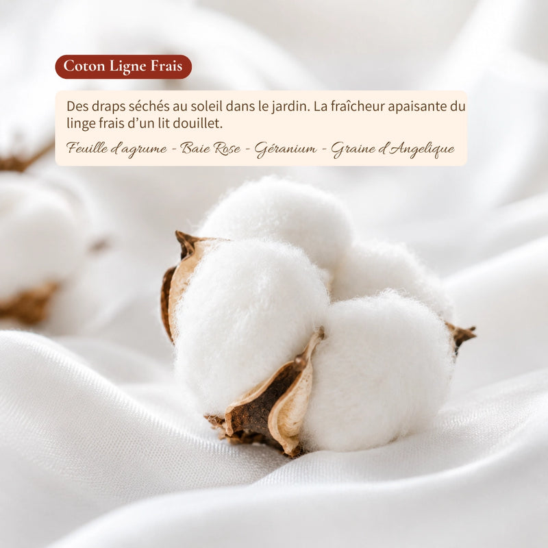 Coton Linge Frais
