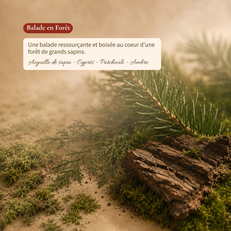 Balade en Forêt