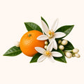 Fleur d'Oranger