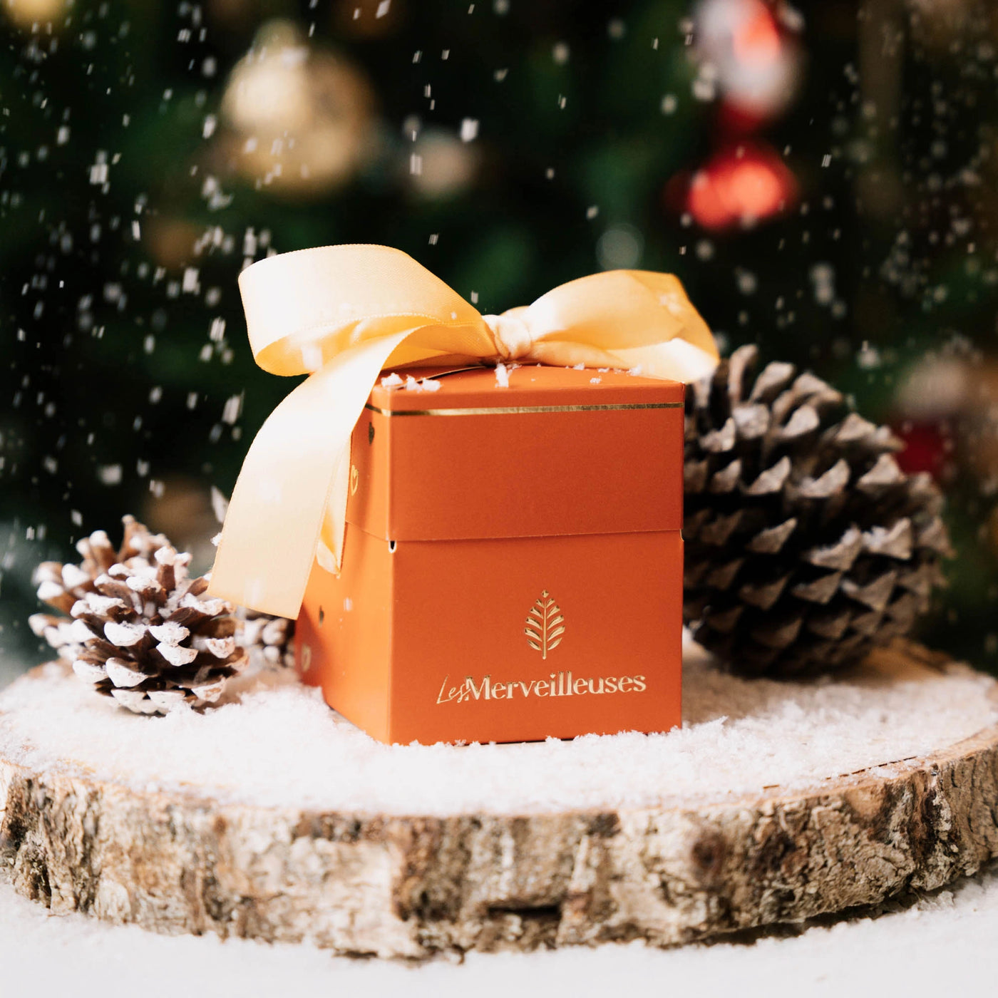 Bougie Bijou Terra Cotta, Monoï, Collier « Fleur » avec pierre naturelle