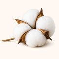Coton Linge Frais