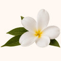 Monoï de Tahiti