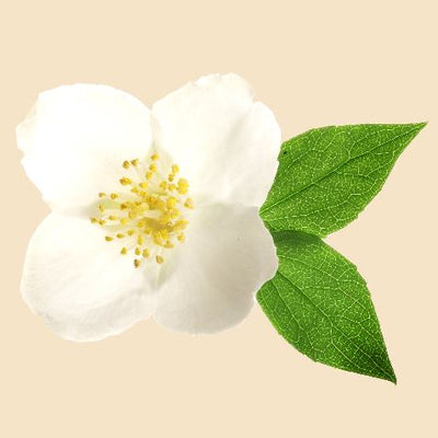 Mon Parfum